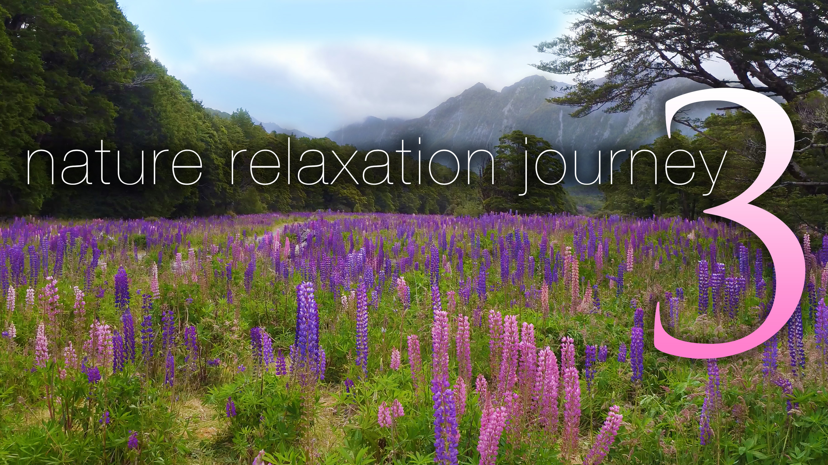 NATURE RELAXATION JOURNEY 3 | a Dynamic Signature Film