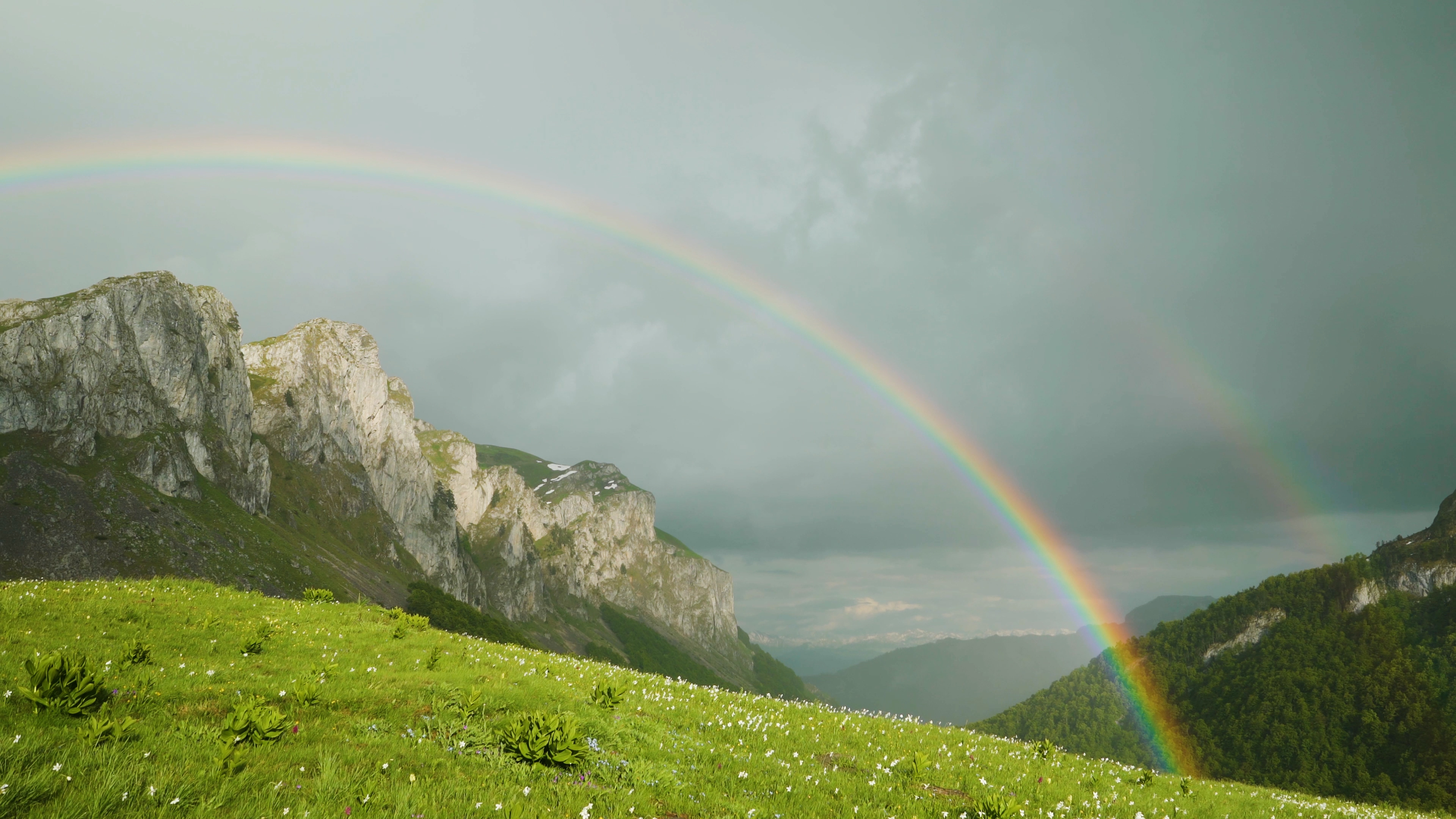 Alpine Mountain Meadows 1HR Nature Relaxation Film