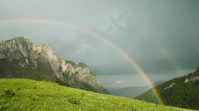 Alpine Mountain Meadows 1HR Nature Re...