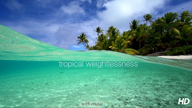 Tropical Weightlessness  (+Music) 1 HR Static Scene from Tahiti