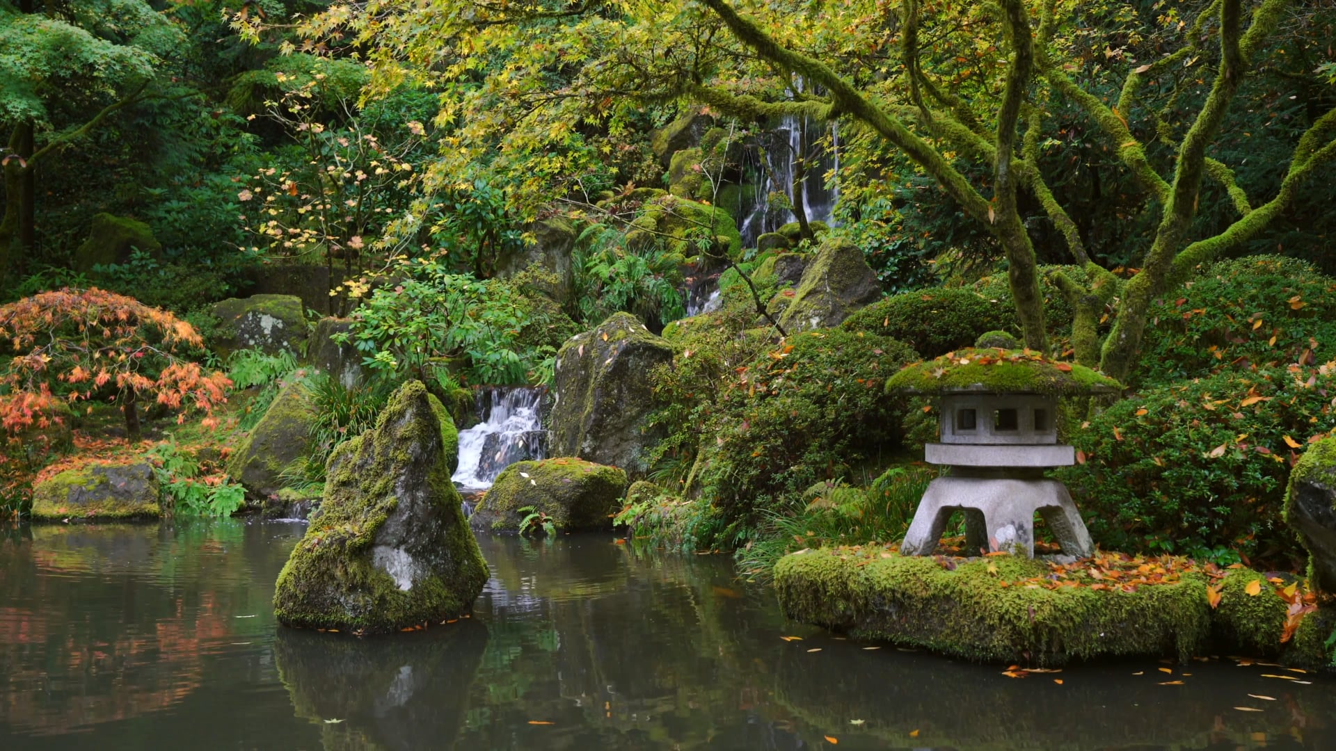 Zen Garden Meditation 4K Nature Relaxation + Music