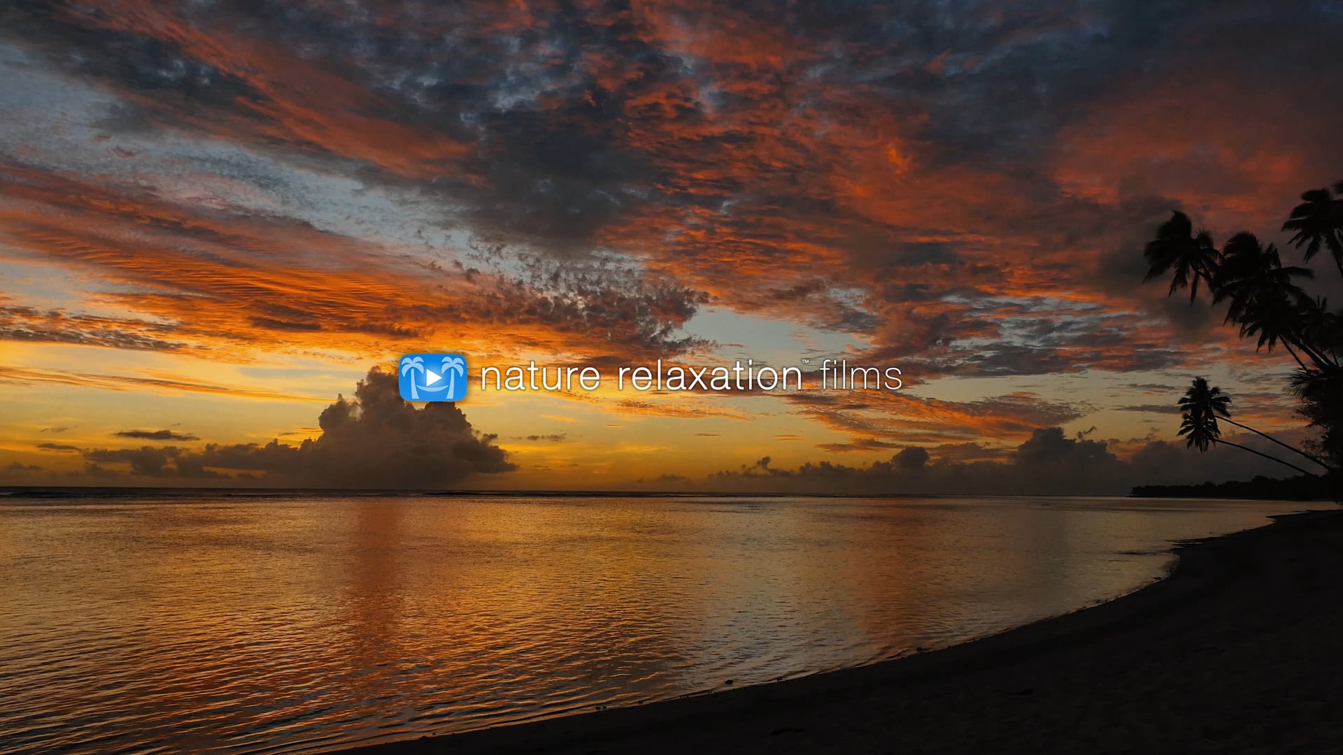 Dreamscapes - 1 Hour Ambient Nature Relaxation Film