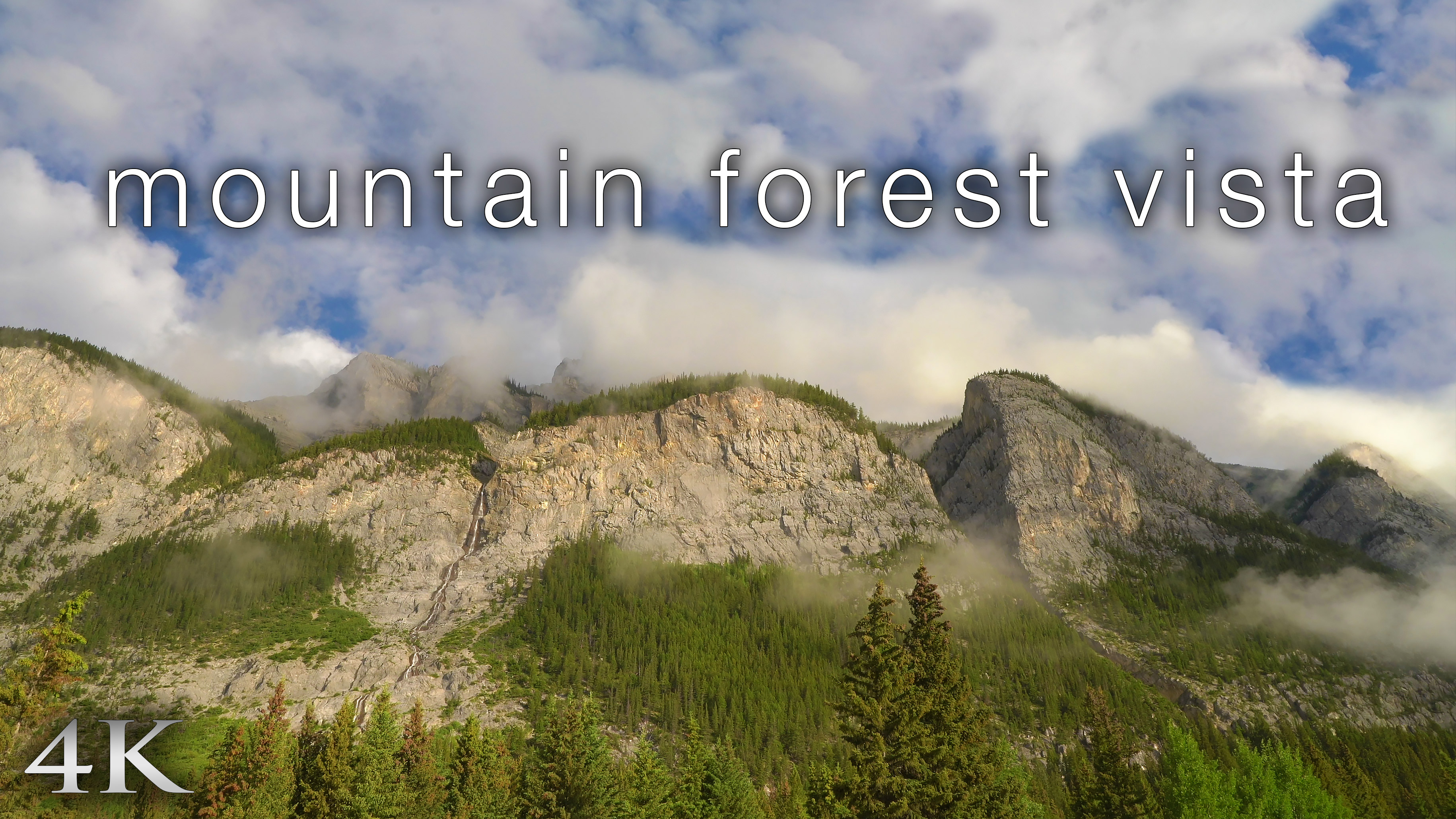 Mountain Forest Vista (4K) 1 Hour Static Nature Scene from Banff, Alberta 