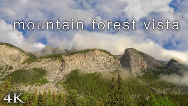 Mountain Forest Vista (4K) 1 Hour Sta...