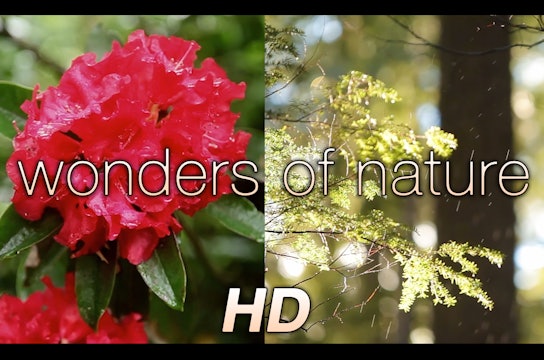 "Wonders of Nature" (w Music) 1 HR Dynamic video