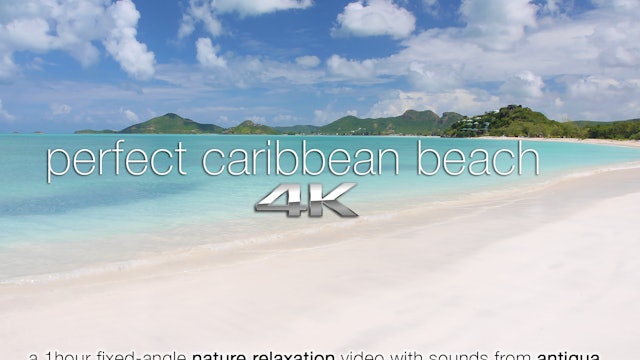 Perfect Caribbean Beach | 1 HR Static Antigua Beach Scene