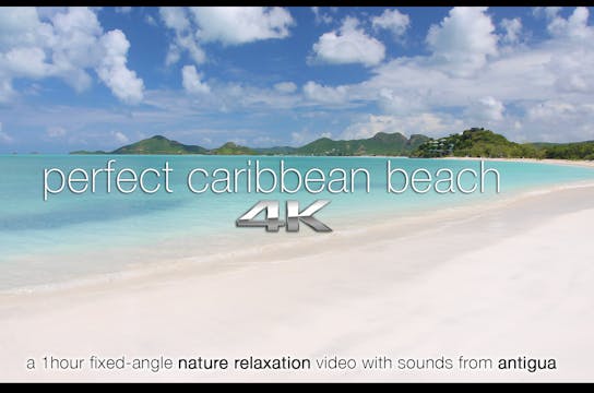 Perfect Caribbean Beach | 1 HR Static...