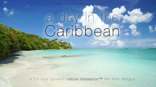 A Day in the Caribbean 3.5HR Dynamic ...