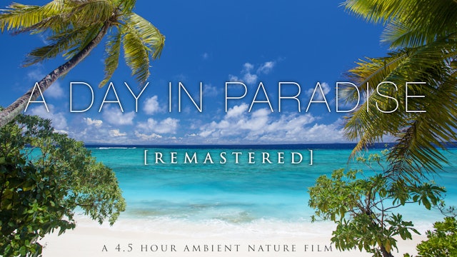 "A Day in Paradise" [Remastered] 4 Hours on An Uninhabited Tropical Island FIJI