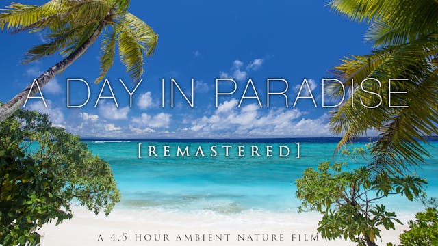 "A Day in Paradise" [Remastered] 4 Ho...