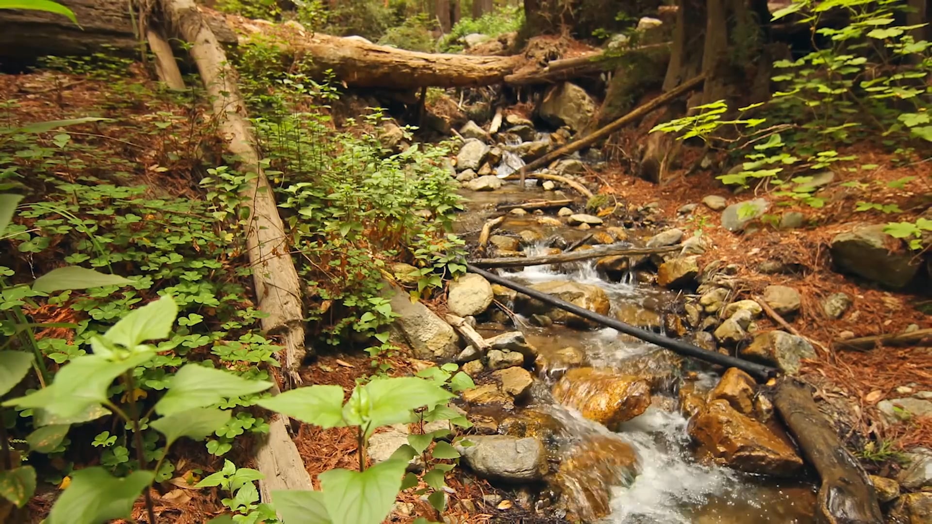 On Demand Promo 30 Second May 2017