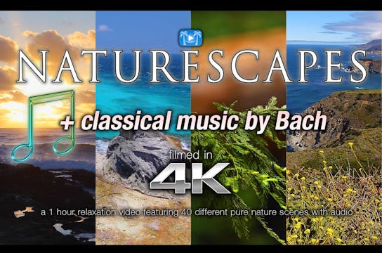 Naturescapes 1 Hour Relaxation w Clas...