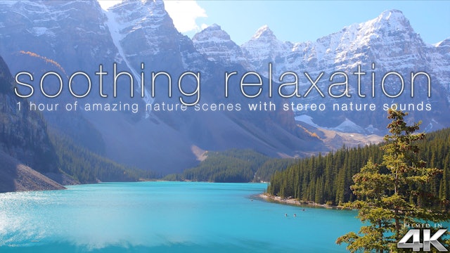 Soothing Relaxation 1HR (No Music) Dynamic Film