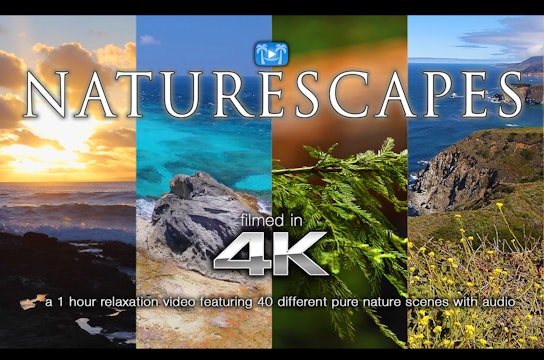 Naturescapes 1 Hour HD Nature Relaxation Video