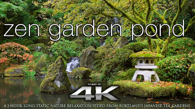 Zen garden pond 4k Nature Relaxation