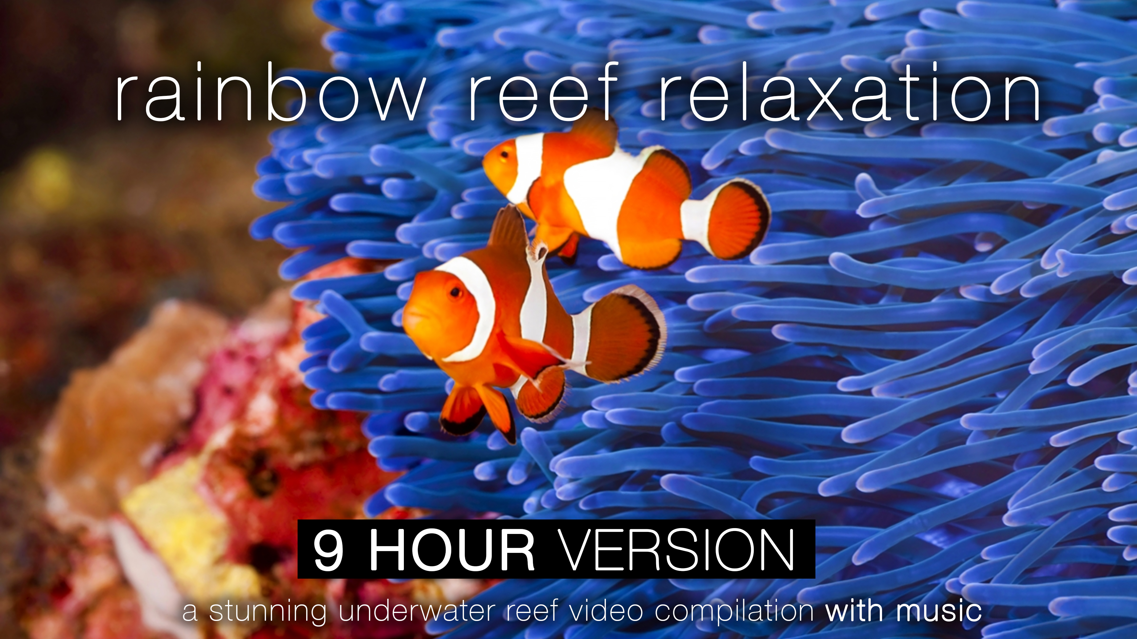 Rainbow Reef Relaxation 9 HOUR Version with Music