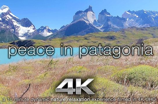 Peace in Patagonia (W Music) 10 Minute Dynamic Relaxation Video