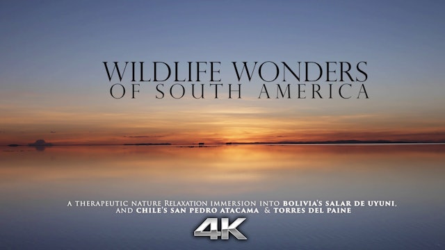 Wildlife Wonders South America (No Music) 1HR Film