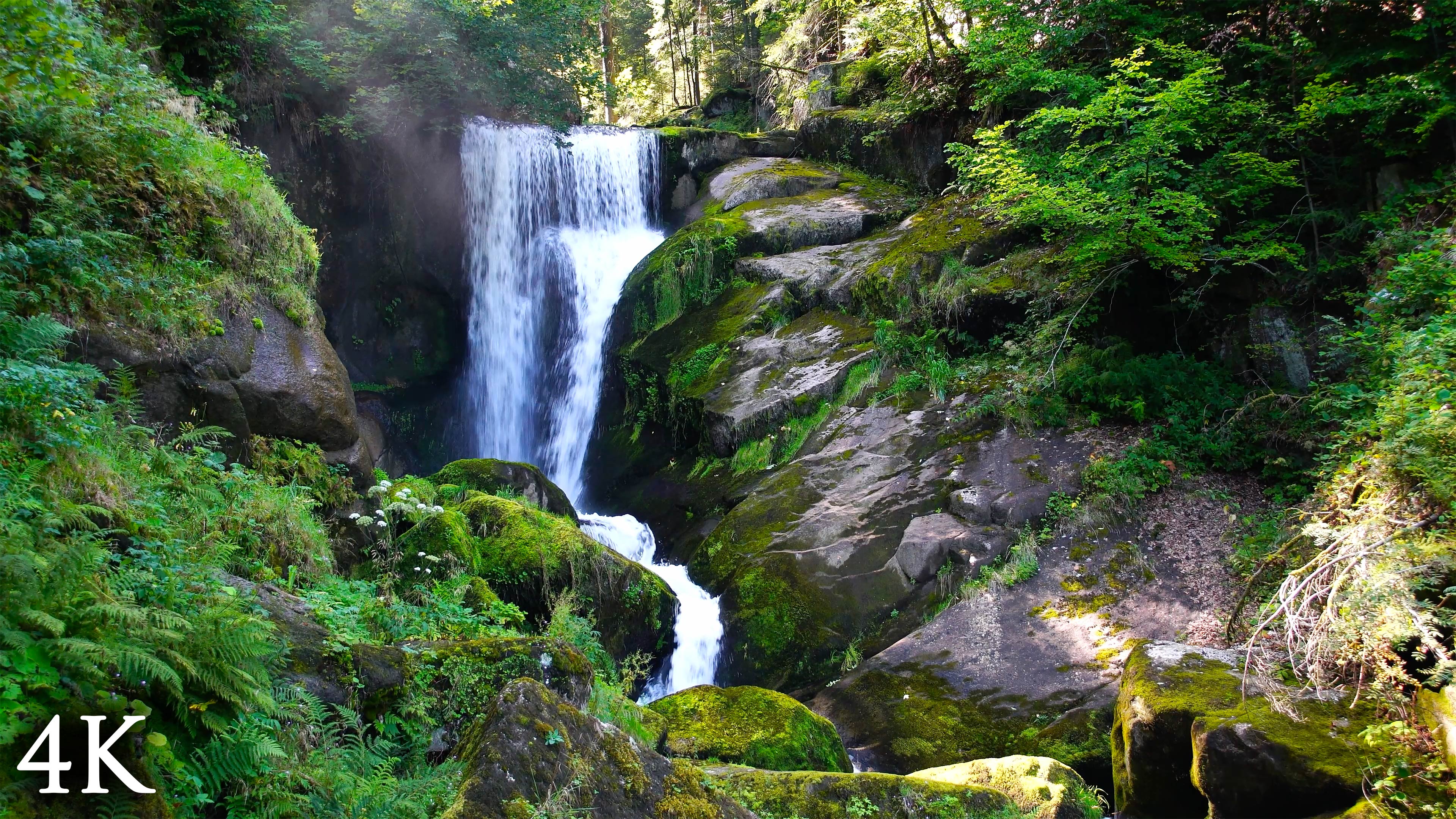 "Flow of Life" Earth Day Appreciation 30 Minute Nature Relaxation Film