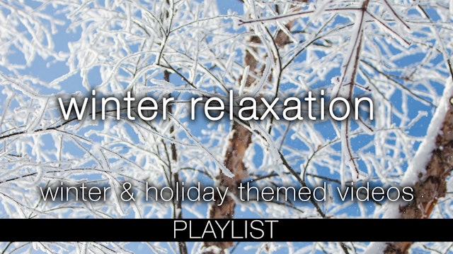 Winter Relaxation - Holiday & Winter Themed Nature Relaxation Videos