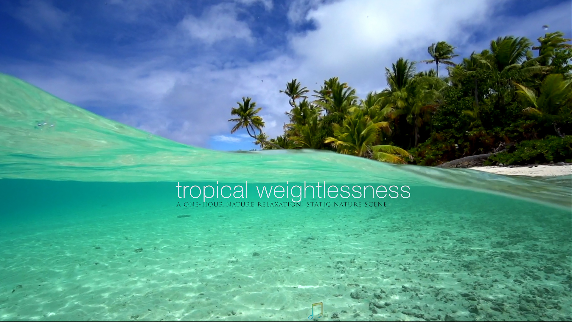 Tropical Weightlessness 1HR Static Nature Scene - Tahiti (No Music)