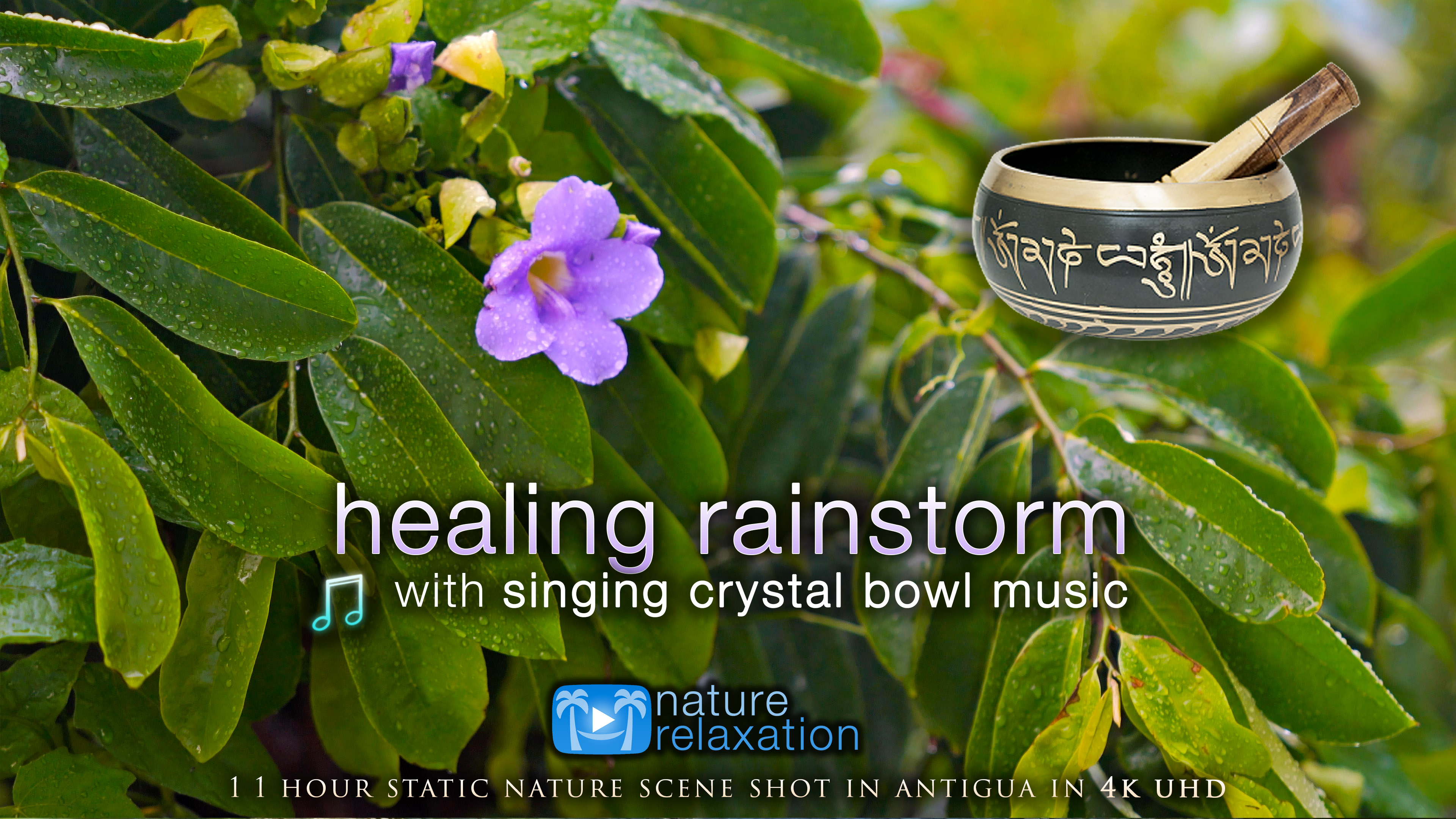 Healing Rainstorm + Crystal Bowl Music 1HR Static Scene for Relaxation