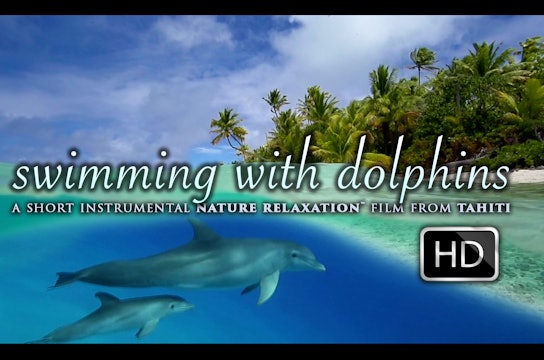 Swimming With Dolphins 10 Minute Therapy / Inspirational Video