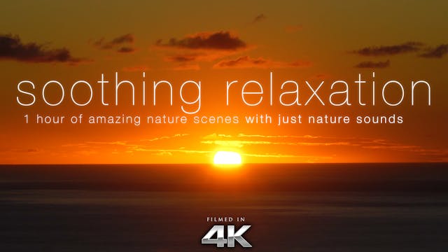 Soothing Relaxation 1HR Dynamic Video...