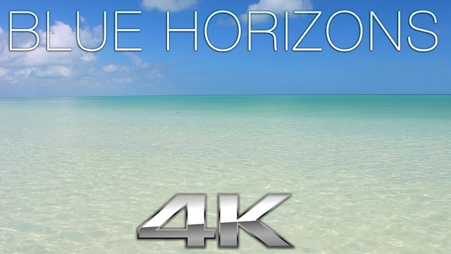 Blue Horizons (Nature Sounds) 1 Hr Dynamic Color Therapy Relaxation Video