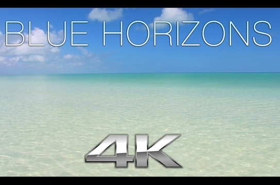 Blue Horizons (Nature Sounds) 1 Hr Dynamic Color Therapy Relaxation Video