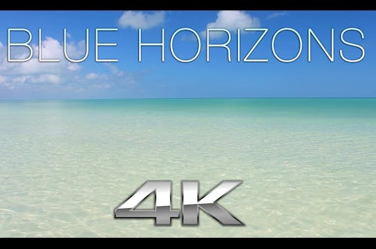 Blue Horizons (Nature Sounds) 1 Hr Dy...