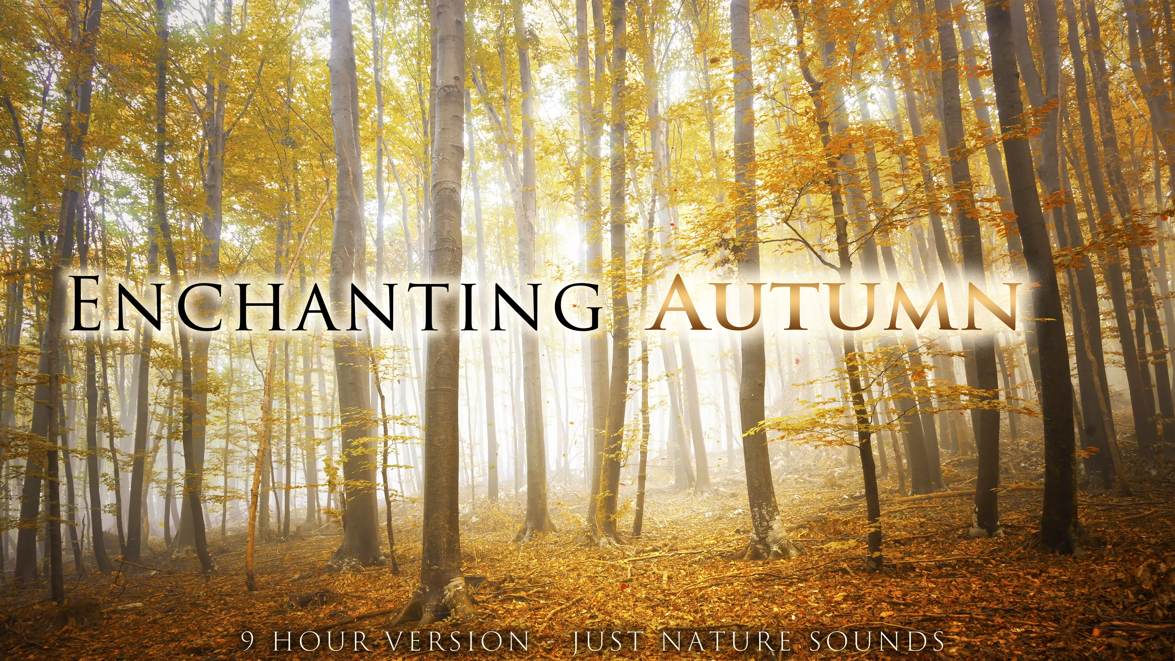 Enchanting Autumn (No Music) 9 HOUR Version 