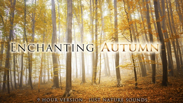 Enchanting Autumn (No Music) 9 HOUR Version 