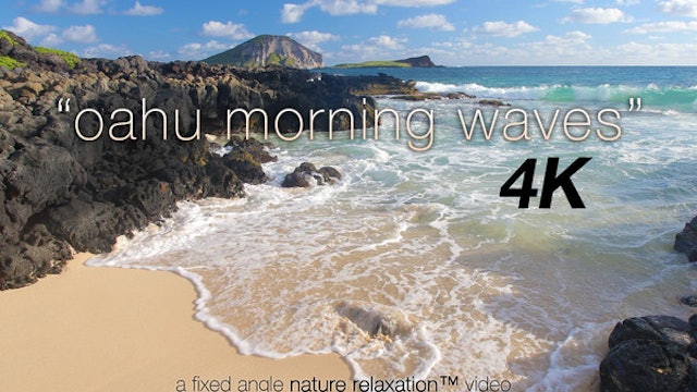 Oahu Morning Waves 1 Hr Nature Relaxation 1080p