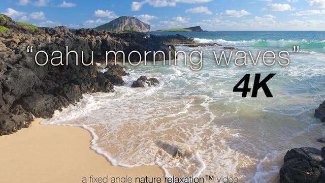 Oahu Morning Waves 1 Hr Nature Relaxa...
