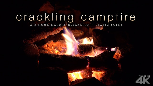 Crackling Campfire 3 HR Nature Relaxation Scene + Fire Sounds4K
