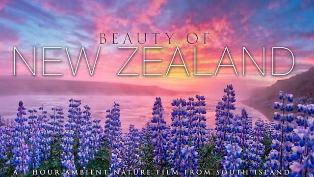 Beauty of New Zealand - 1H, 4K (Just Nature Sounds)