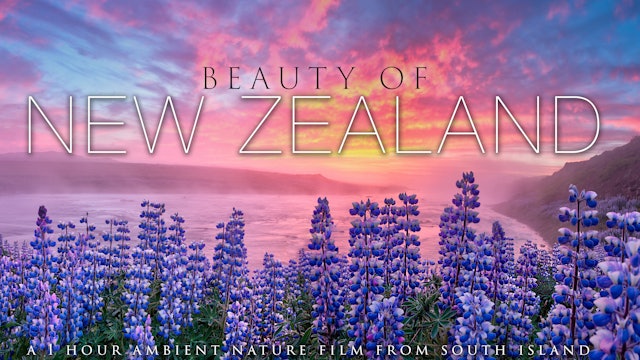 Beauty of New Zealand 4K (Just Nature Sounds) 1HR Nature Relaxation