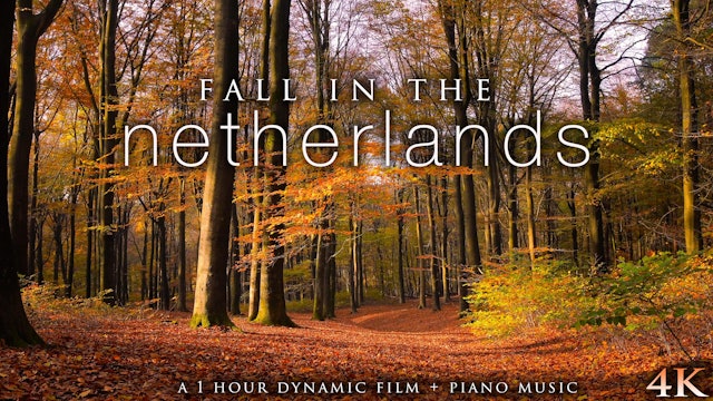 Fall in the Netherlands (+Piano Music) 1 HR Dynamic Nature Film in 4K UHD