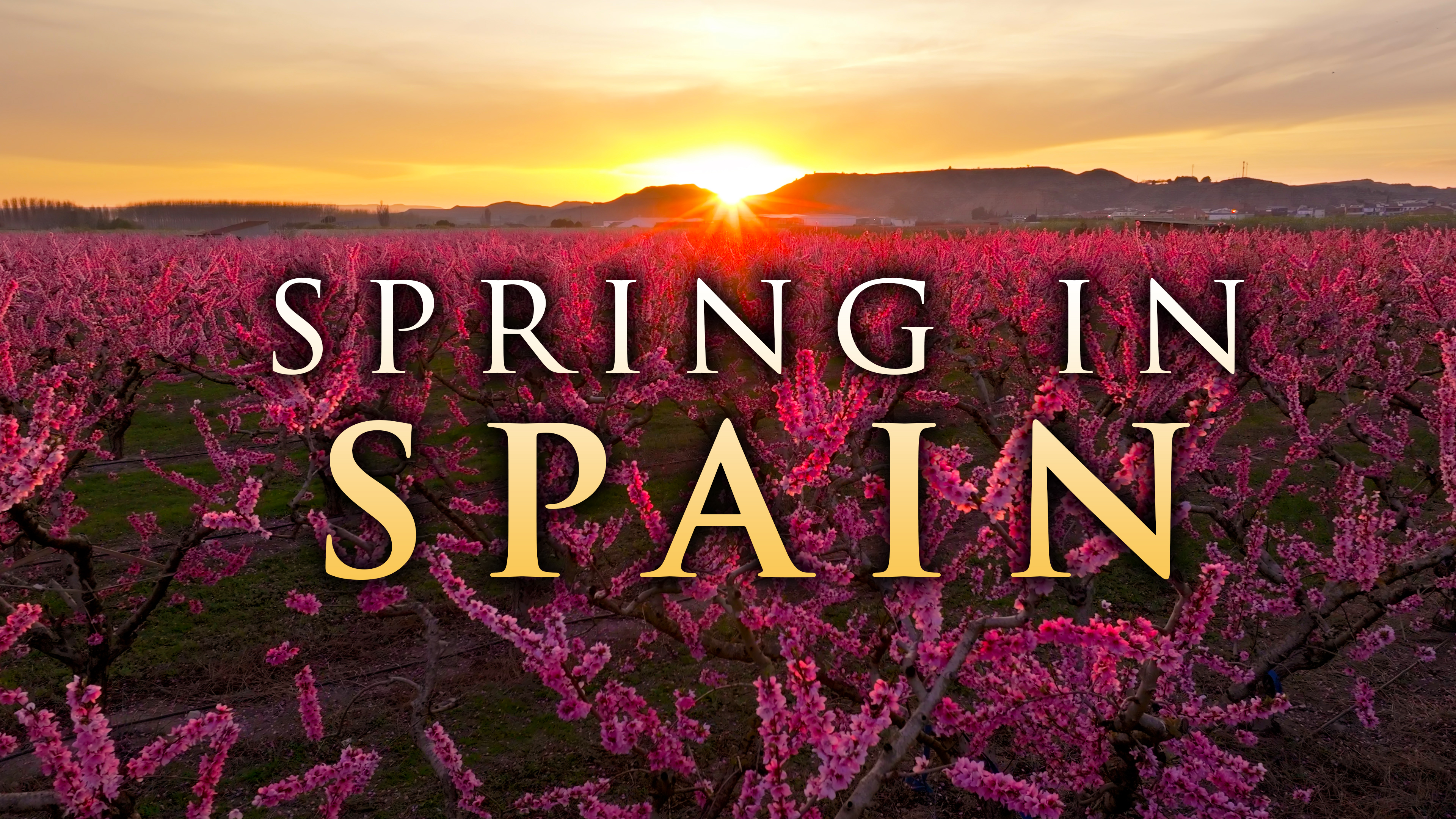 Spring in Spain + Music 2 Hour Film - Peach Blossoms Relaxation