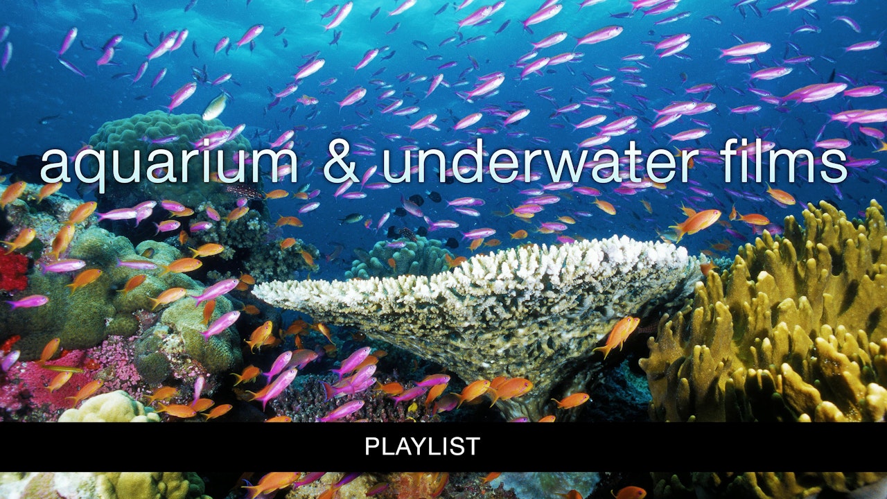 UNDERWATER FILMS