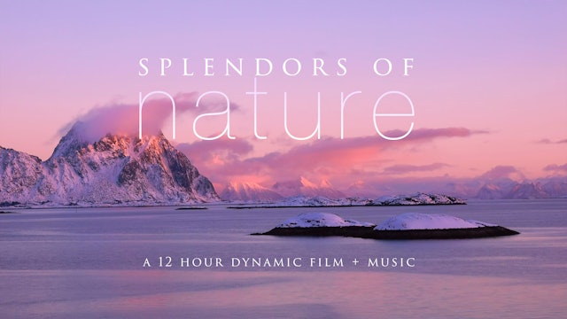 Splendors of Nature 12 HOUR Dynamic Film + Music Filmed in 4K 