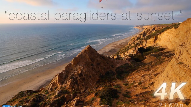Coastal Paragliders at Sunset 1HR Static Nature Video