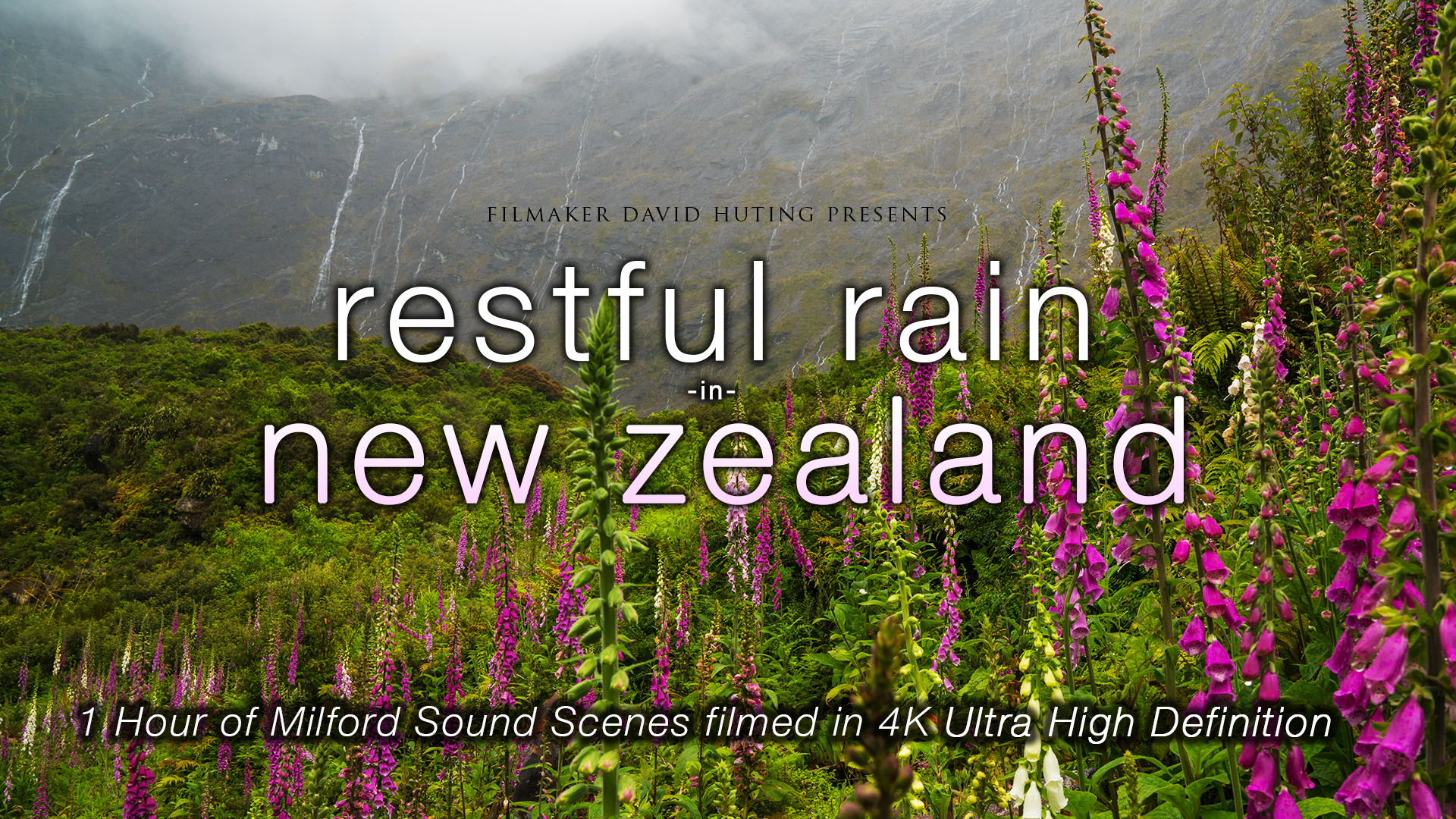 Restful Rain in New Zealand 1 HR Dynamic 4K Film (Nature Sounds Only)