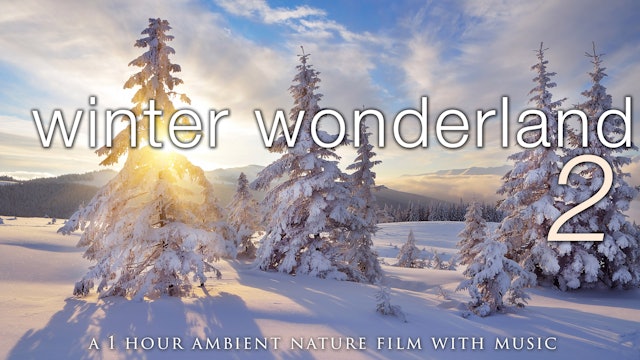 Winter Wonderland 2 - 1 Hour Version 4K + Music