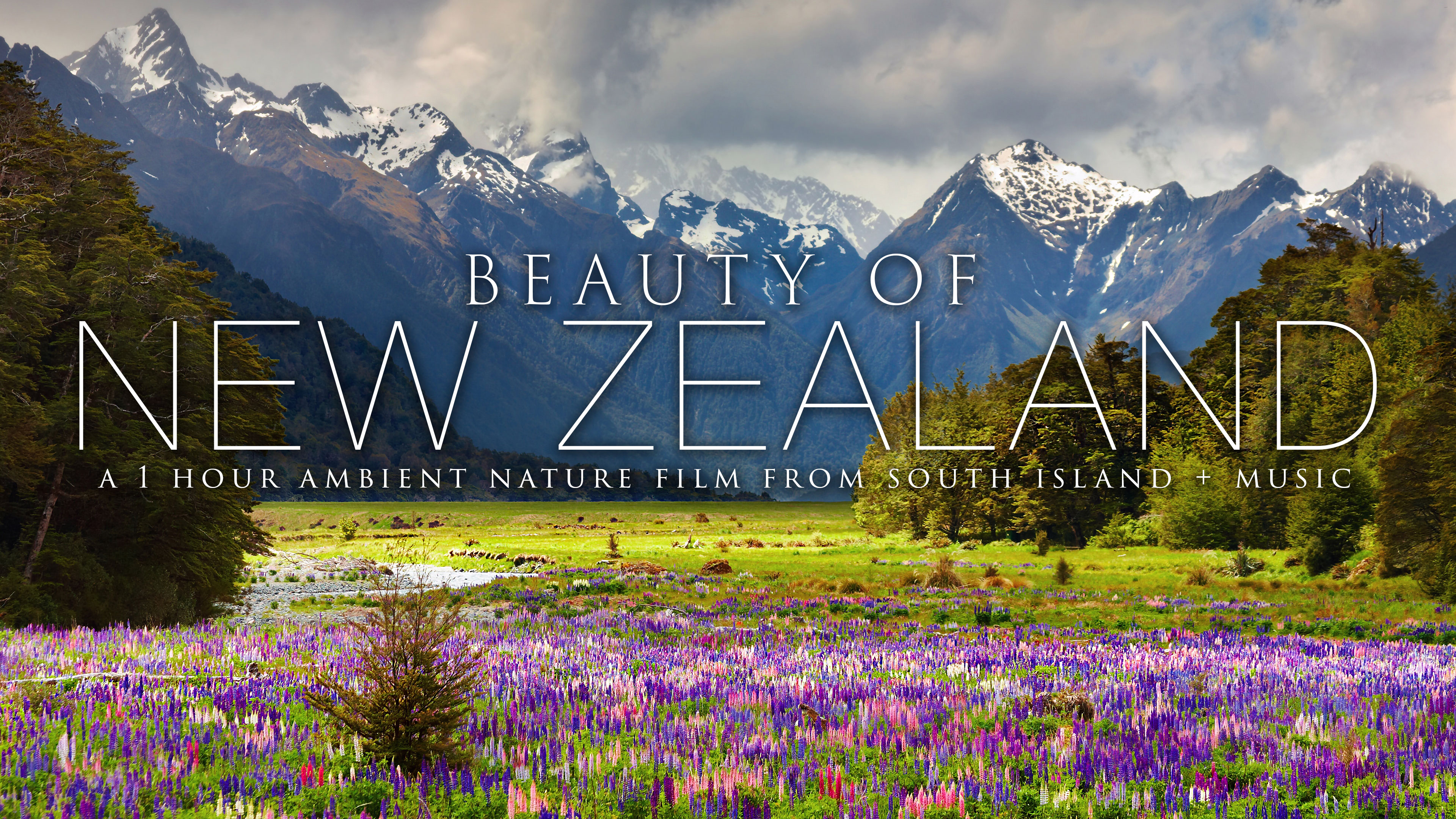 Beauty of New Zealand | 1 Hour Ambient Nature Relaxation 4K + Music