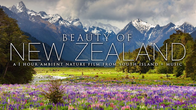 Beauty of New Zealand | 1 Hour Ambient Nature Relaxation 4K + Music