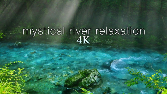 Mystical River Relaxation - Japan 1HR Dynamic Nature Film + Nature Sounds in 4K 