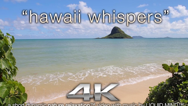Hawaii Whispers 9 MIN Dynamic Nature Relaxation Music Video ft Liquid Mind