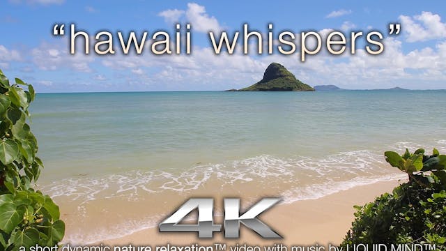 Hawaii Whispers 9 MIN Dynamic Nature ...